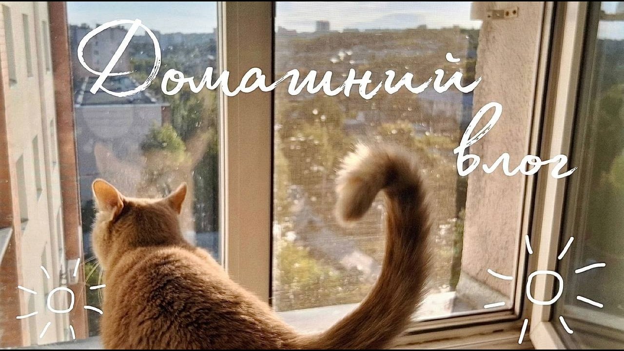 домашний влог // август, Пенза, семья, Косинус
