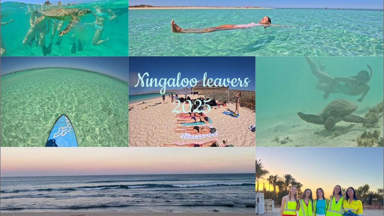 Part 1 of Ningaloo leavers 🐢🌊
