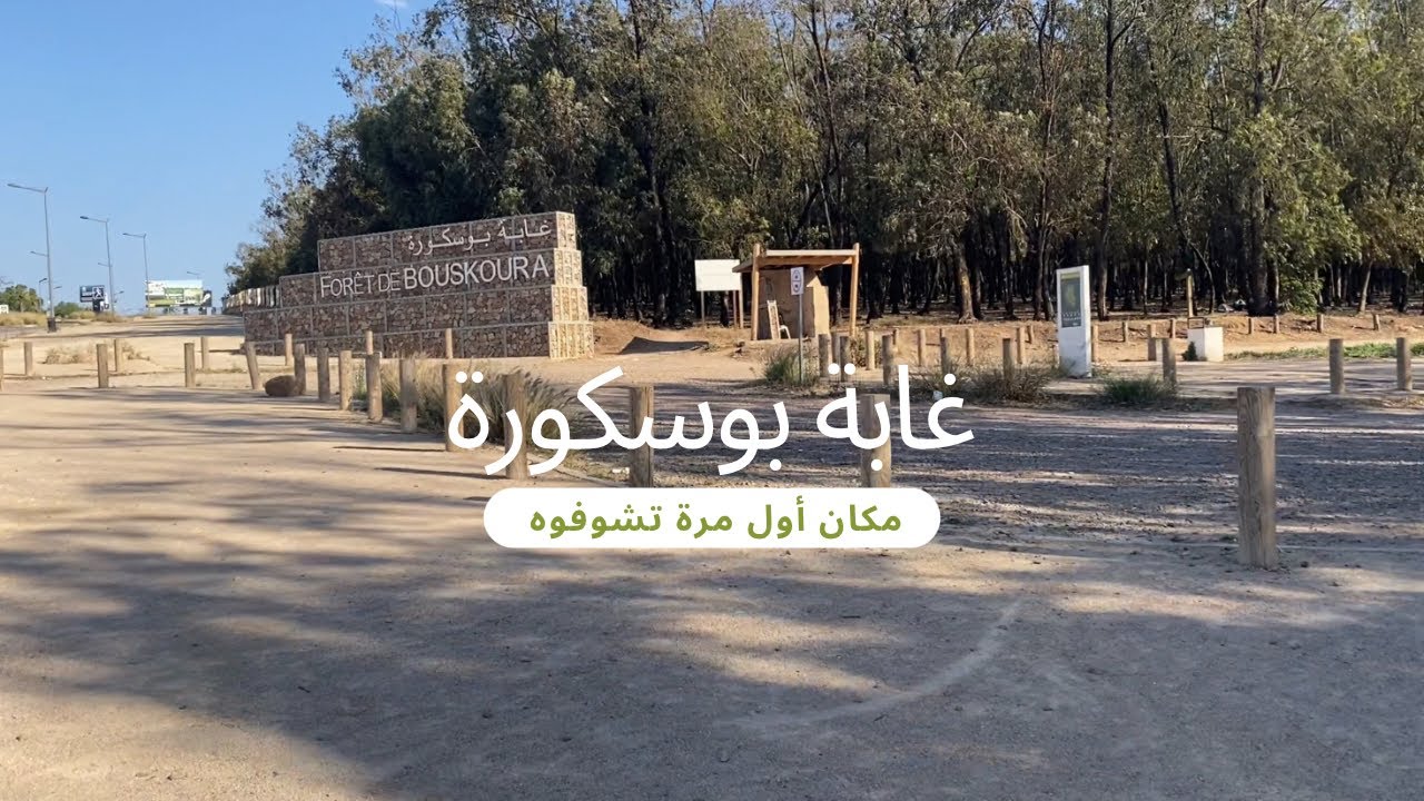 مكان خفي في غابة بوسكورة🌳 نتحداكم واش كتعرفوه من قبل 😎La forêt de Bouskoura
