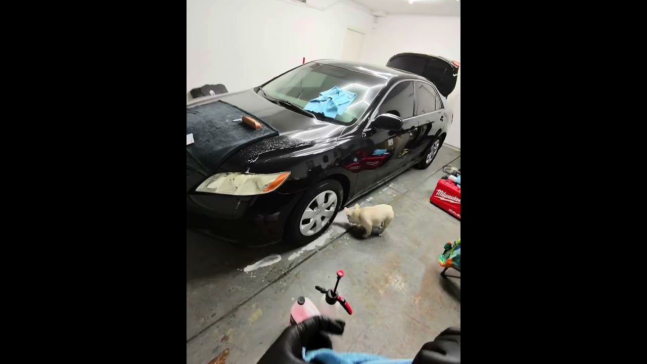 3D Foaming Waterless Car Wash & Sudlabs Foam Sprayer review