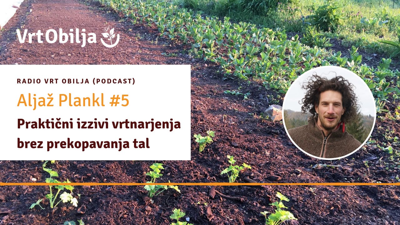 Aljaž Plankl #5 - Praktični izzivi vrtnarjenja brez prekopavanja tal