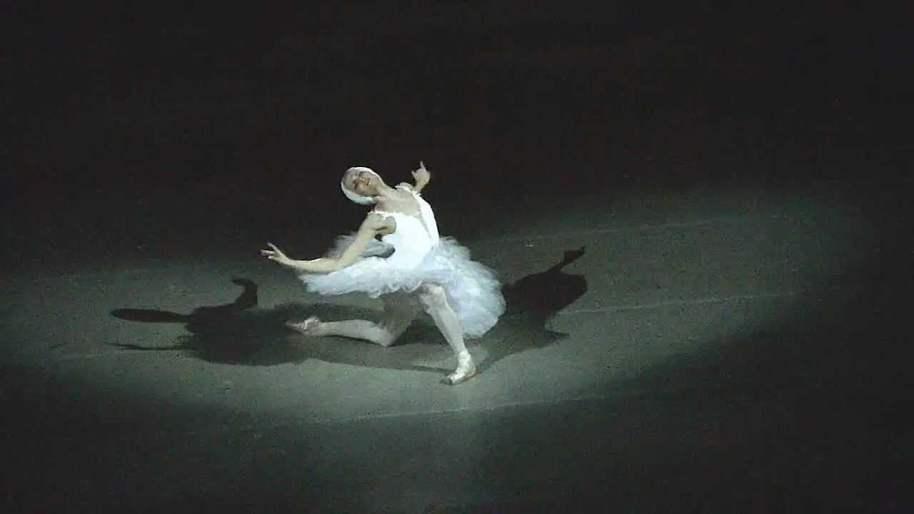 Алина Сомова лебедь Мариинский балет Alina Somova Dying Swan