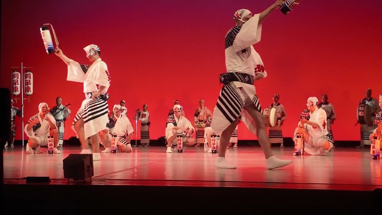 阿呆連（本場徳島招待連）本場徳島の圧巻の演舞！｜第39回 南越谷阿波踊り 2日目 2025.8.24(日) | 南越谷コミュニティ大ホール  概要欄にのんき連・むそう連も #Awaodori
