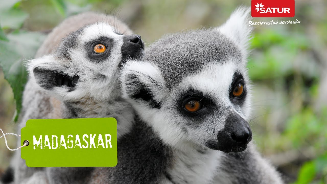Madagaskar / TA3 Za hranicami