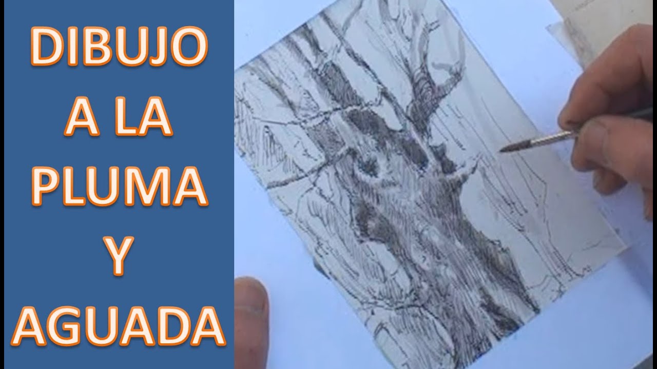 Como dibujar a la plumilla con aguada. Arboles.