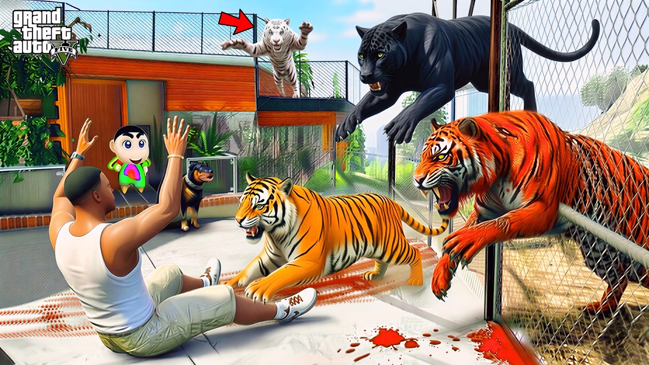 Franklin & Shinchan Chased by Hungry Red Tigers in Los Santos! 🐯😱 | GTA 5