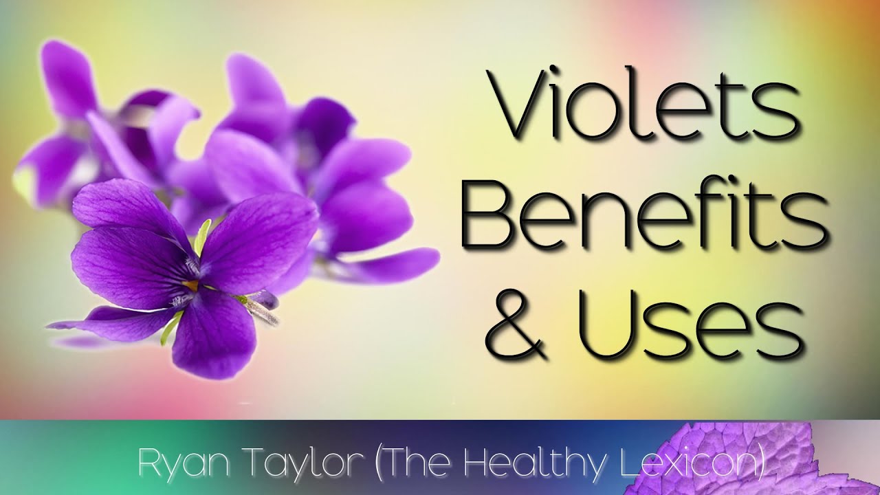 Violets Flowers: Benefits & Uses