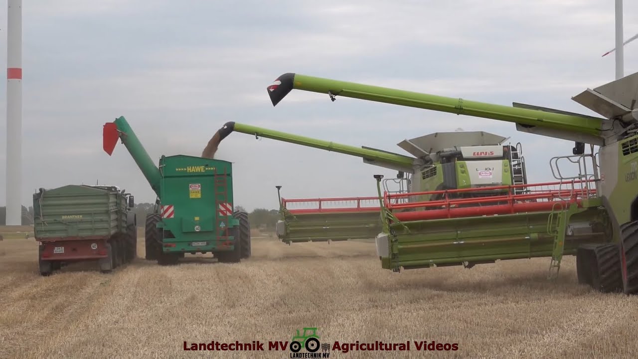 Claas - Fendt - Hawe / Dinkelernte - Spelled Harvest  2022  The Whole Story