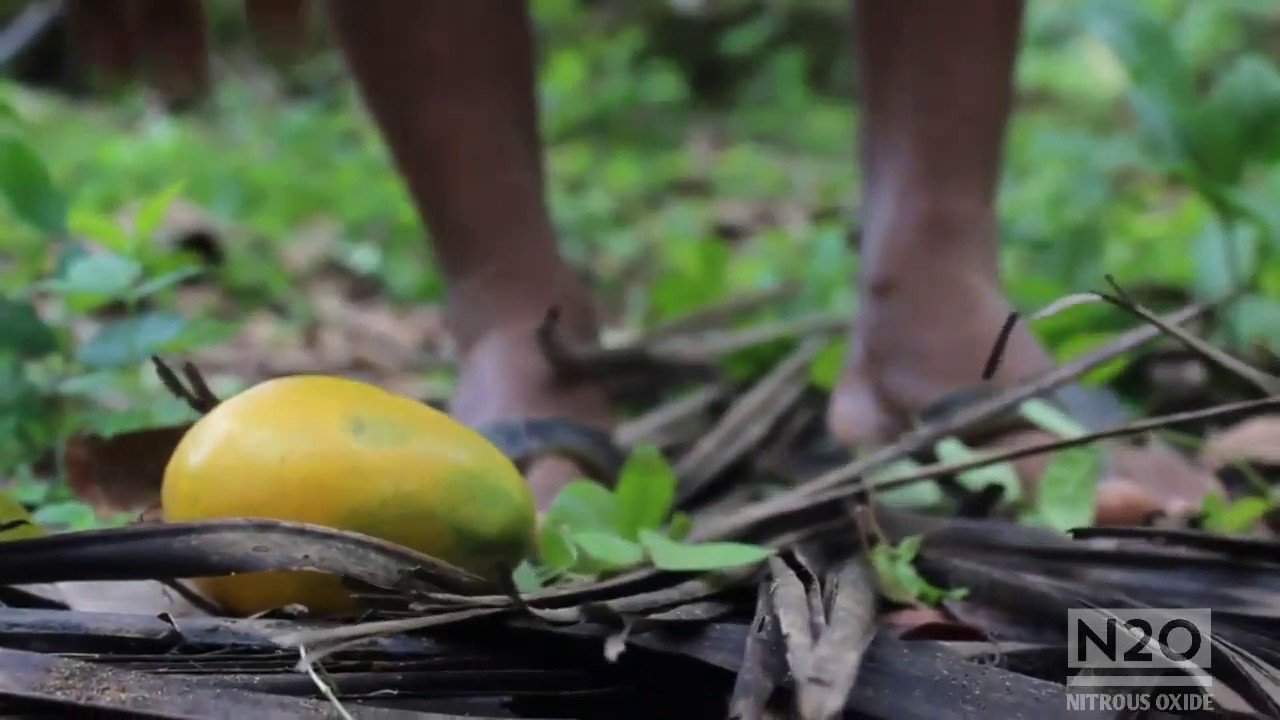 Life is very short ||life in thirty(30) seconds||short film