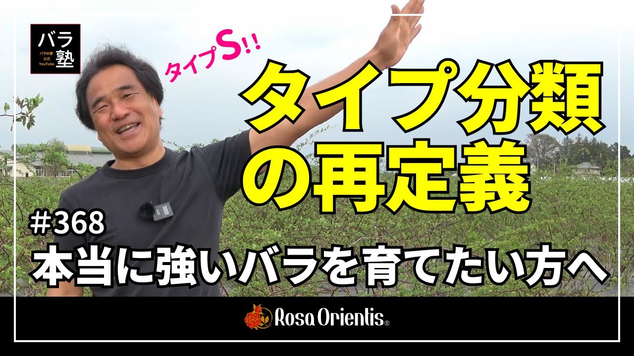 #368 【タイプ分類の再定義】本当に強いバラを育てたい方へ