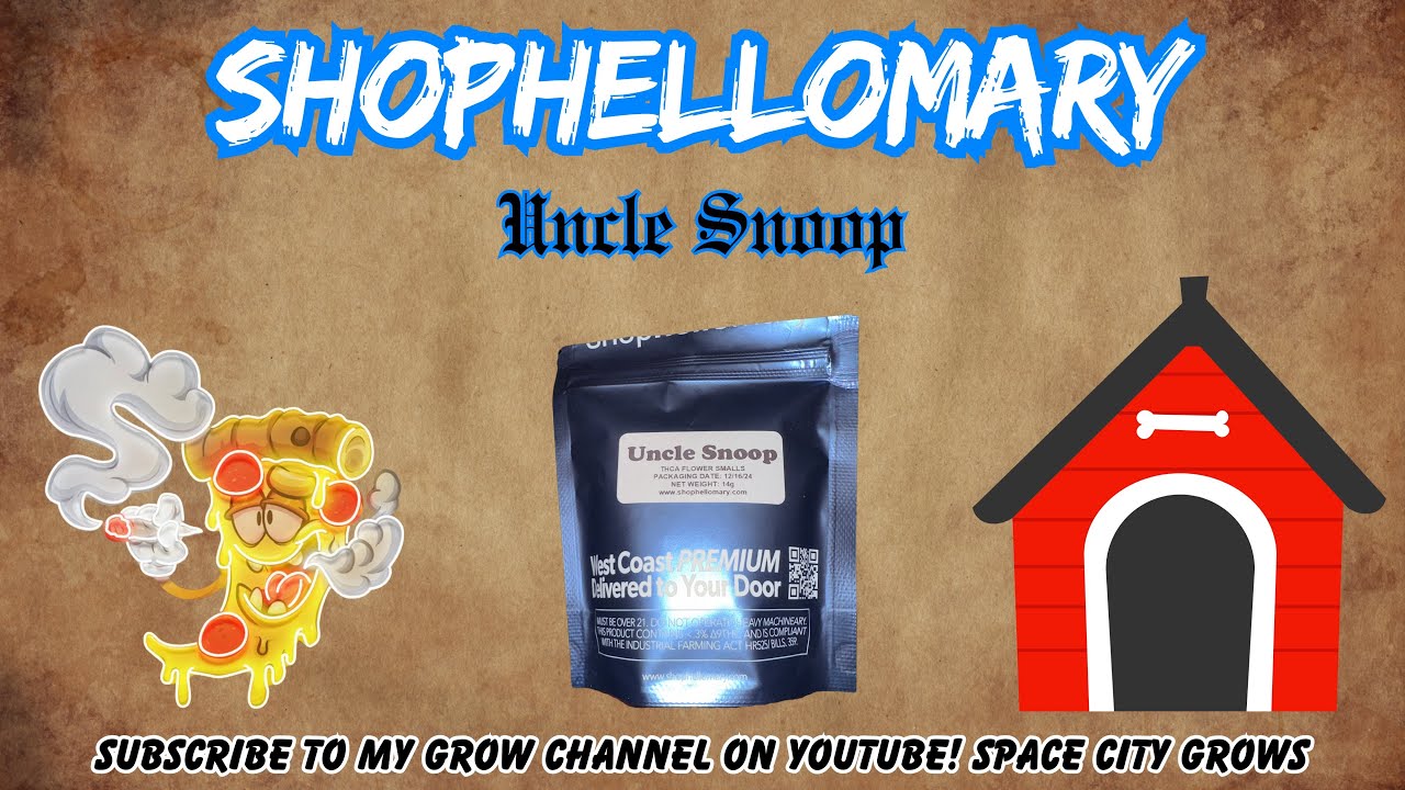 SHOPHELLOMARY THCA STRAIN REVIEW: Uncle Snoop (🐾⛽️🔥) This Is Some HEAT! Use Code:SPACECITY