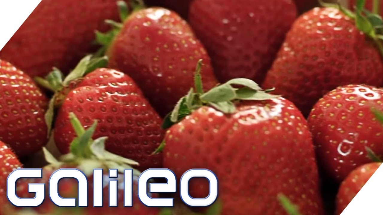 So findet man die leckersten Erdbeeren | Galileo | ProSieben