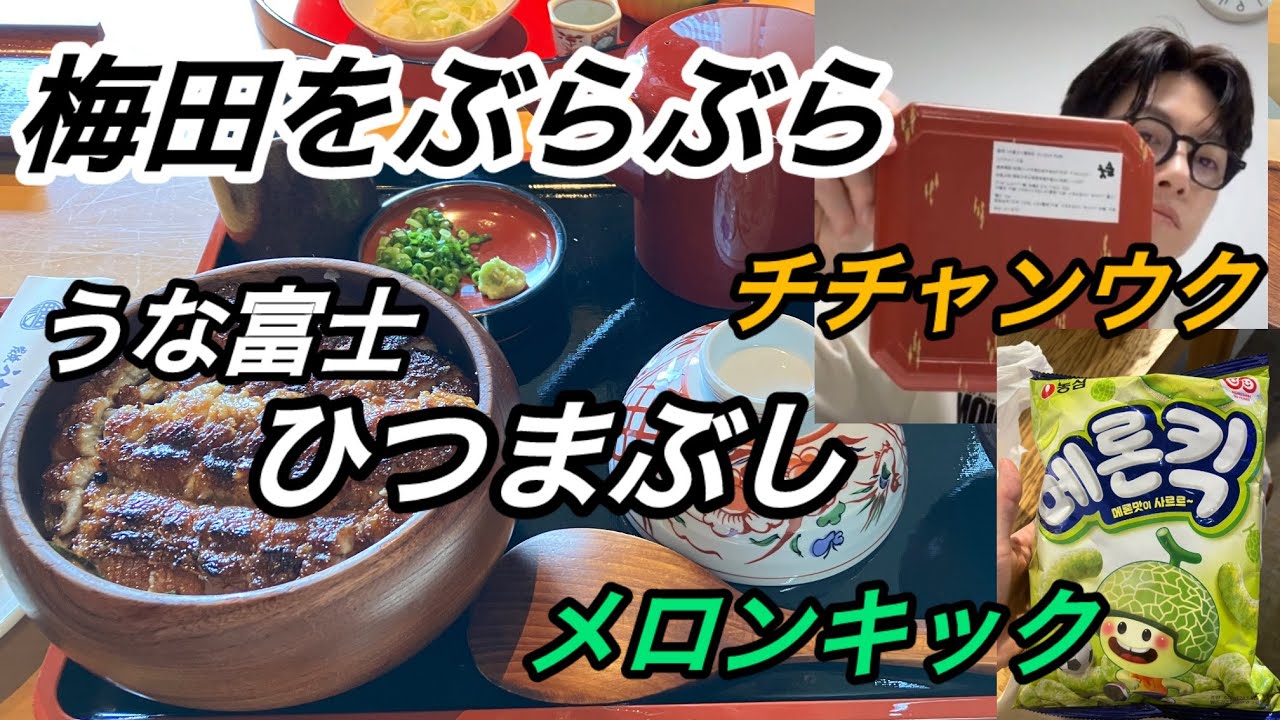 🌏【韓国俳優 チチャンウクの食べた うな富士のひつまぶし とか メロンキック  食べてみたVlog】 Ji Chang Wook “Hitsumabushi & Melon kick “