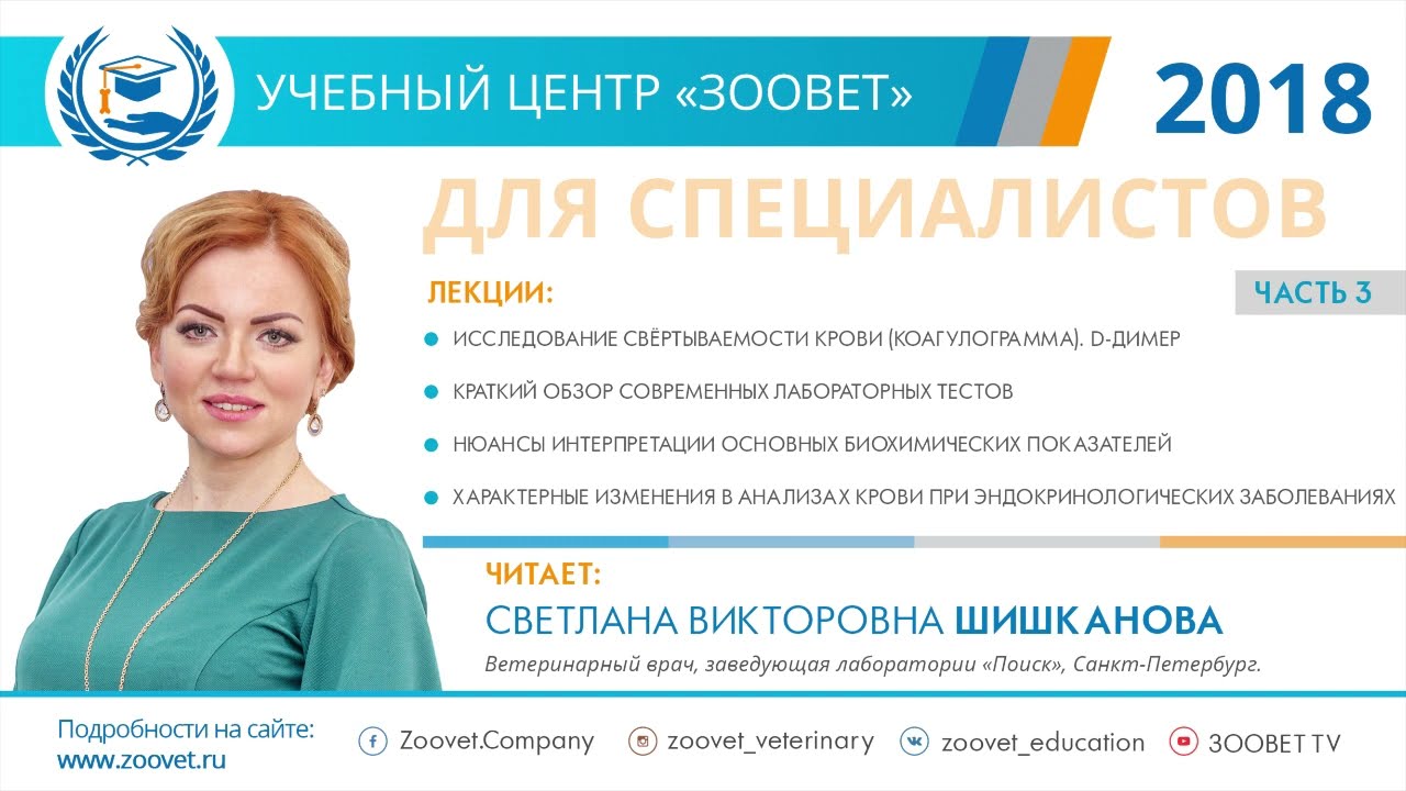 Шишканова С. В. в УЦ «Зоовет» | ч.3