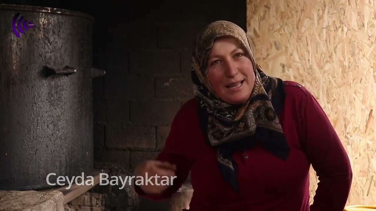 Topraktan Gelen Lezzet: Pancarın Serüveni