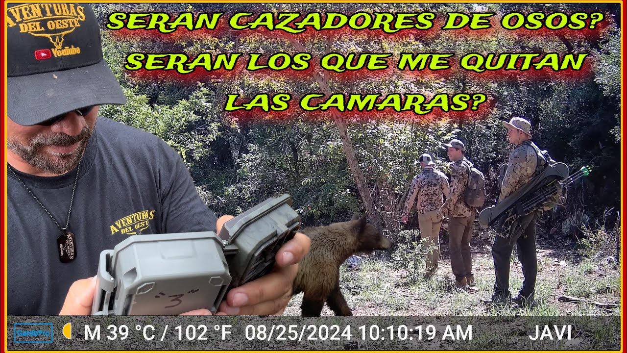 AVENTURA 474 LO QUE CAPTAN LAS CAMARAS) SERÍAN CAZADORES ME PREGUNTO YO?