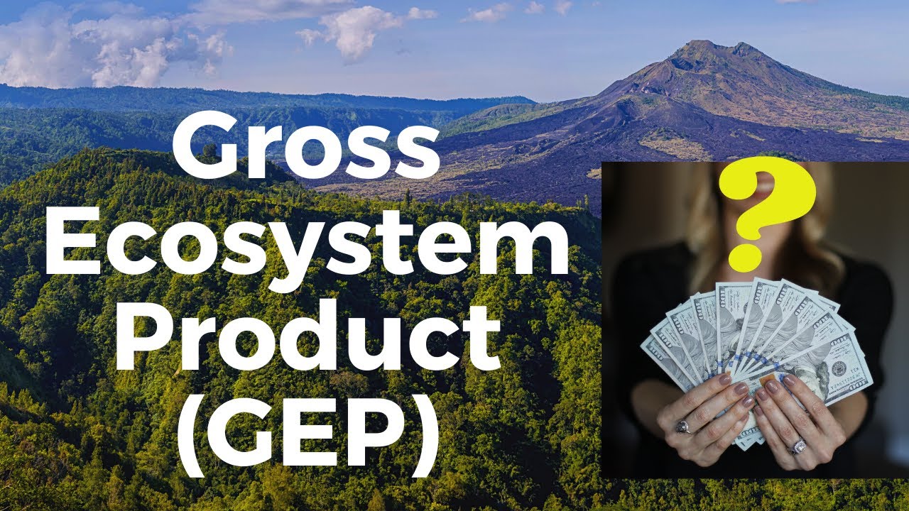 What is Gross Ecosystem Product (GEP) ?