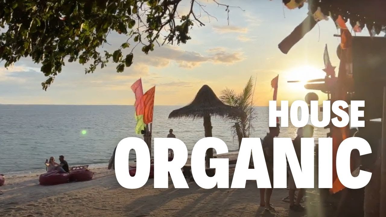 Organic House set at SeaSide Koh Phangan - DJ FlowMaster