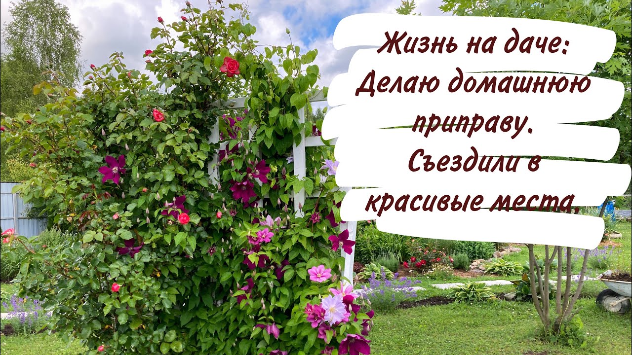Жизнь на даче: Делаю домашнюю приправу. Съездили в красивые места.