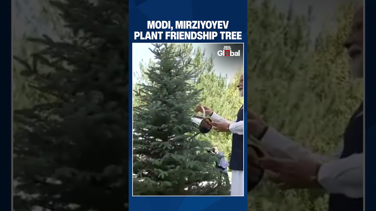 PM Modi, Mirziyoyev Plant Tree Together in Tashkent, Highlight India-Uzbekistan Friendship