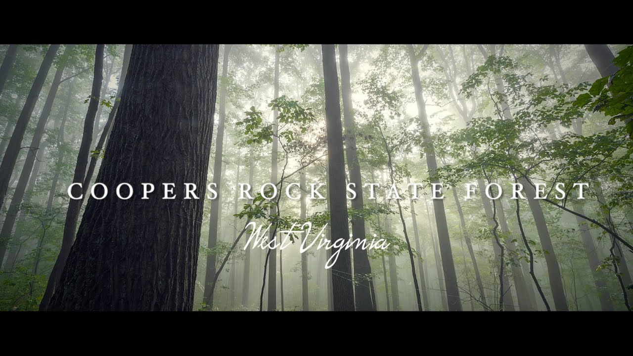 Coopers Rock State Forest - A Short Film by Alex Wilson
