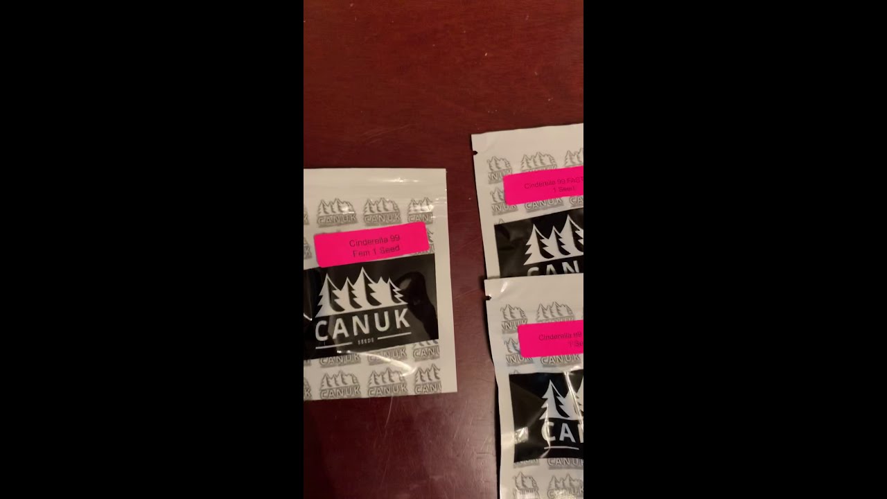 True North seed bank Canuck seeds