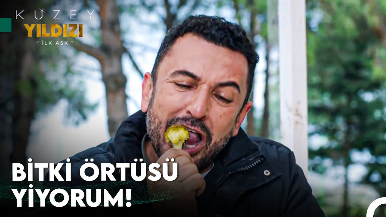 Ot Gibi Yaşamanın Dayanılmaz Zorluğu - Kuzey Yıldızı İlk Aşk