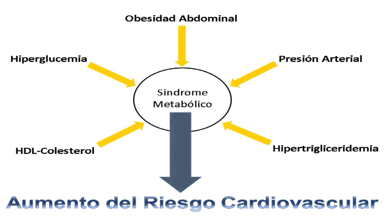 Nuevos conocimientos en la fisiopatología del síndrome metabólico - Part.1 - HD