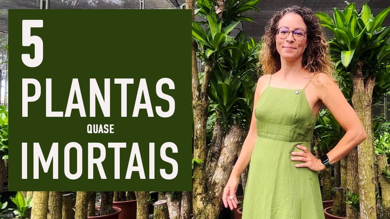 5 PLANTAS quase IMORTAIS pra TER em CASA