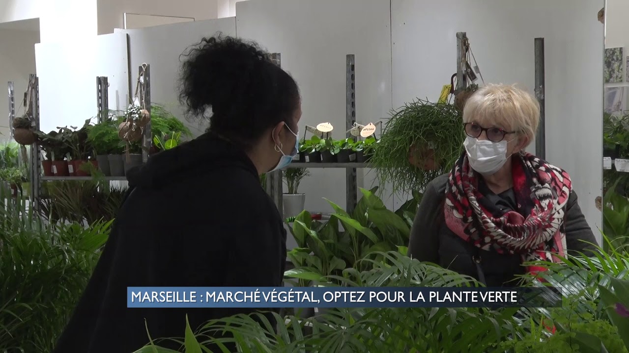 Marseille : marché végétal, optez pour la plante verte