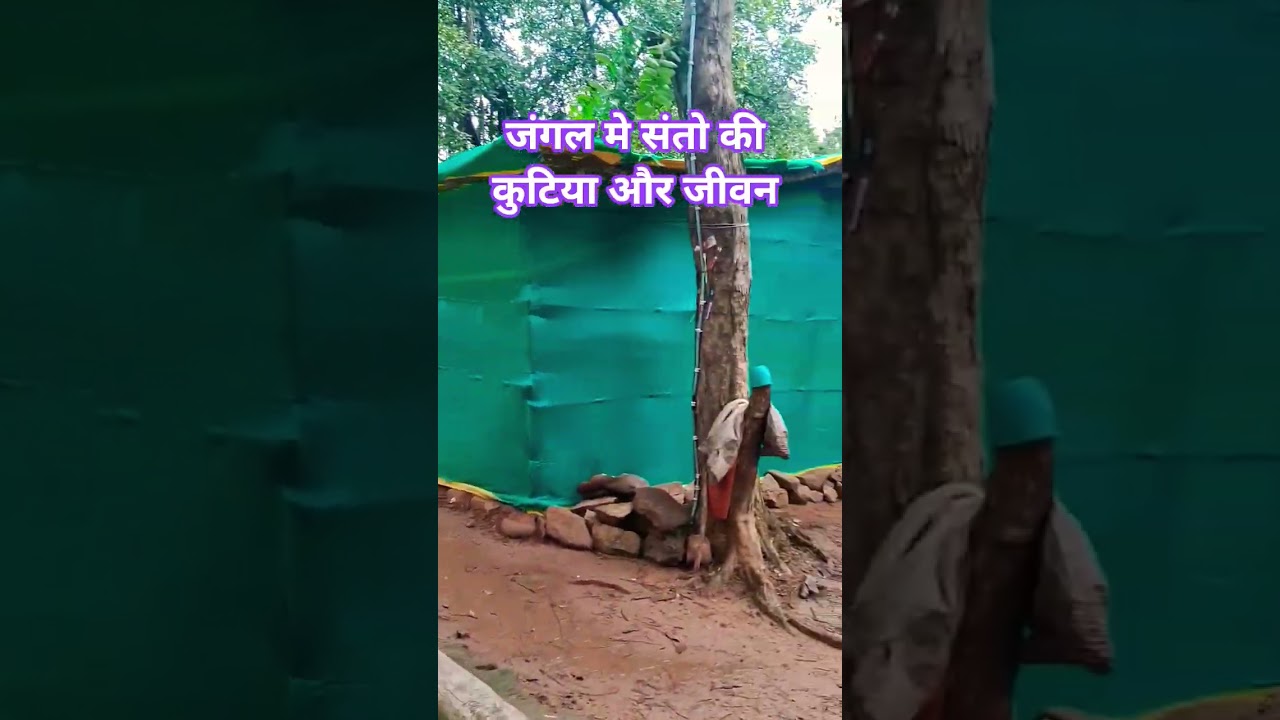 sant ki kutiya #shorts #sanyasi #sidhasant #forest #rjchitrakootvlog #bairagi #chitrakootkesant