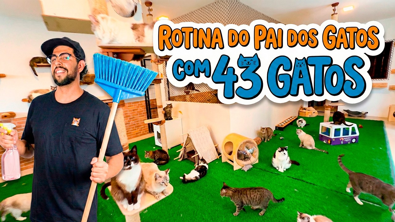 VIVENDO COM 43 GATOS, ROTINA DIÁRIA
