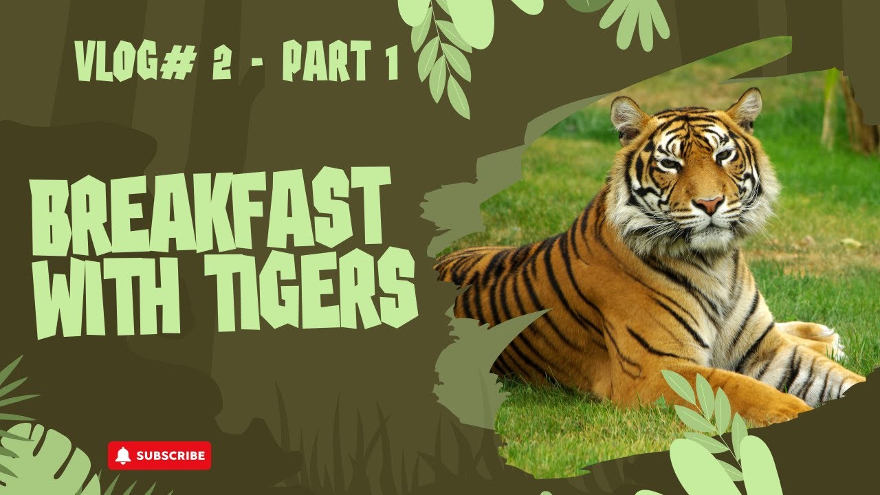 VLOG#2 - PART 1 - TIGERS KE SAATH BREAKFAST IN TIGER TOPIA