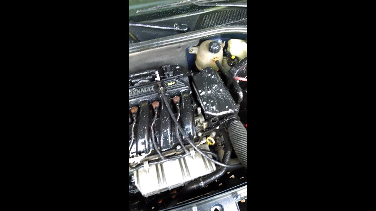 Lavado motor Renault Clio