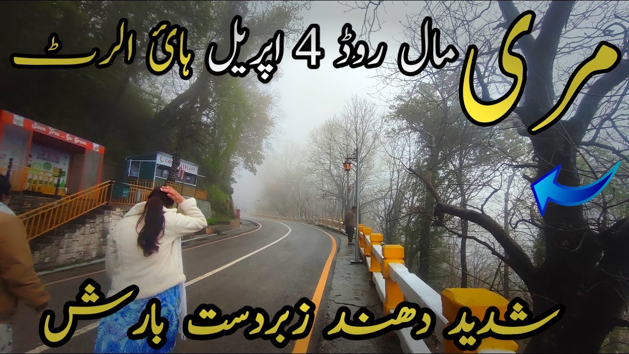 Murree live today #murree #murreeupdate Murree mall road #murreelivetoday #murree #murreemallroad