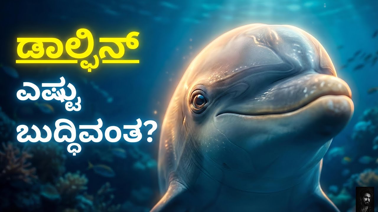 ಡಾಲ್ಫಿನ್‌ಗಳ ಬುದ್ಧಿಶಕ್ತಿ: ನಿಮಗೆ ಗೊತ್ತಿರದ ಸತ್ಯಗಳು 🐬