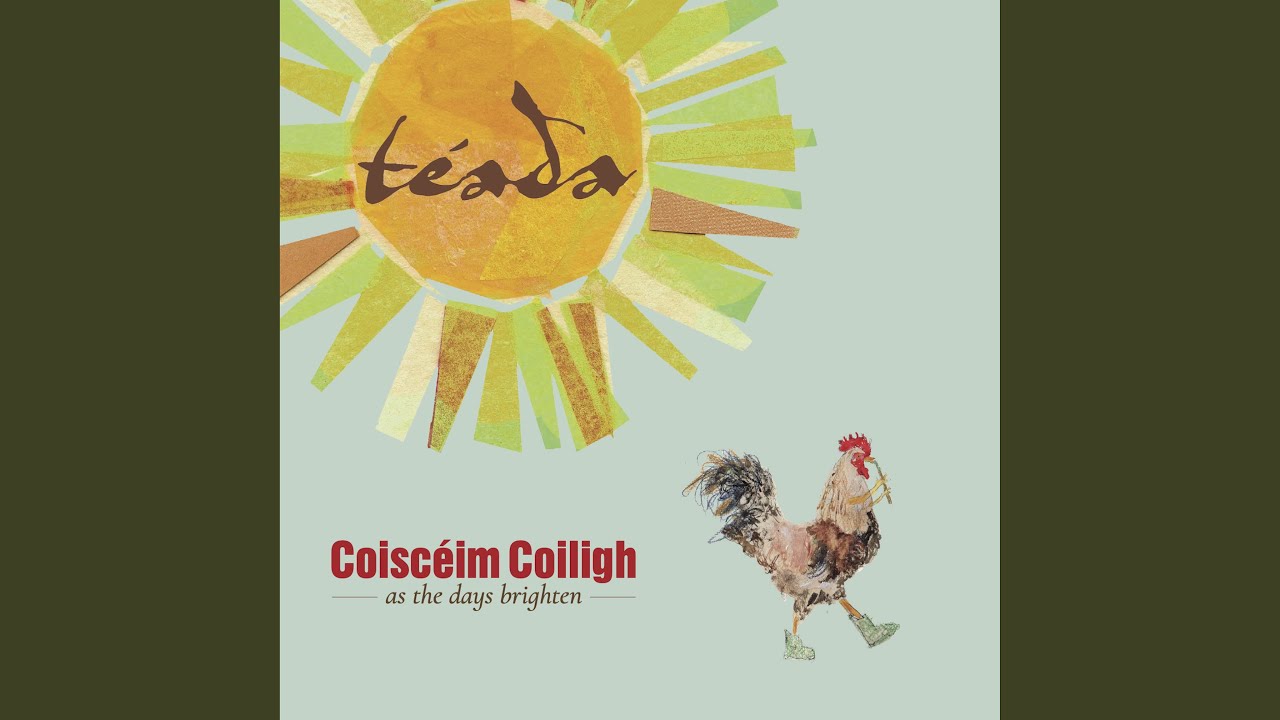 Paddy Ryan’s Dream / The Winding Roads of Advance / Danny Meehan’s / Tim Fitzpatrick’s