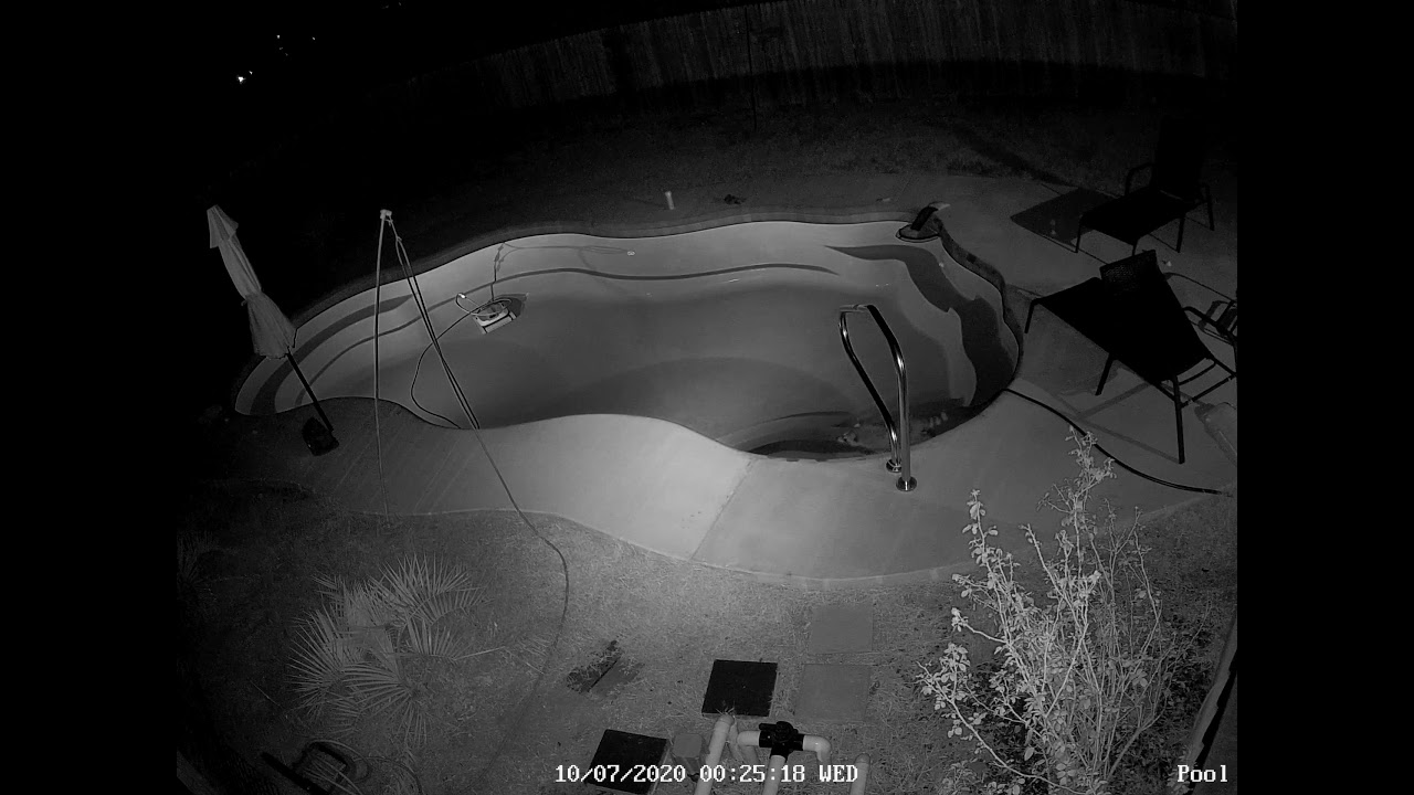 Late night swim