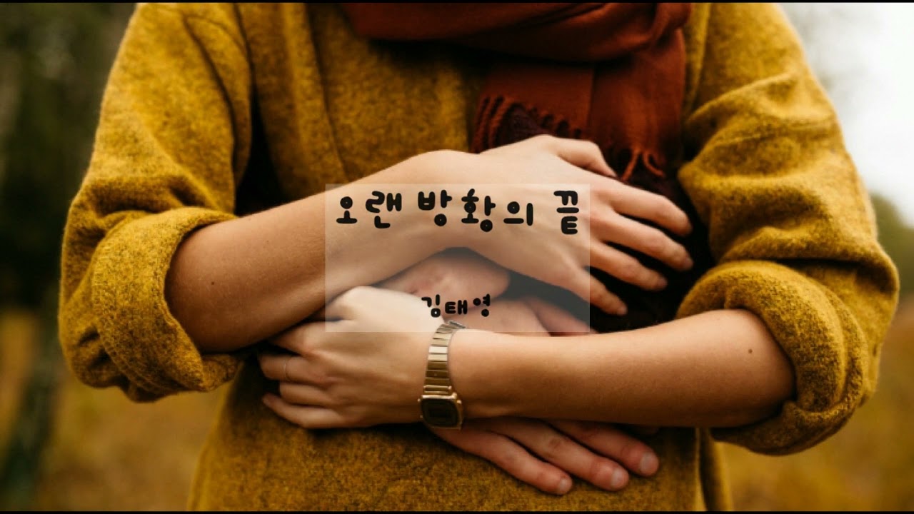 오랜 방황의 끝 - 김태영 (가사ㅇ) 2000