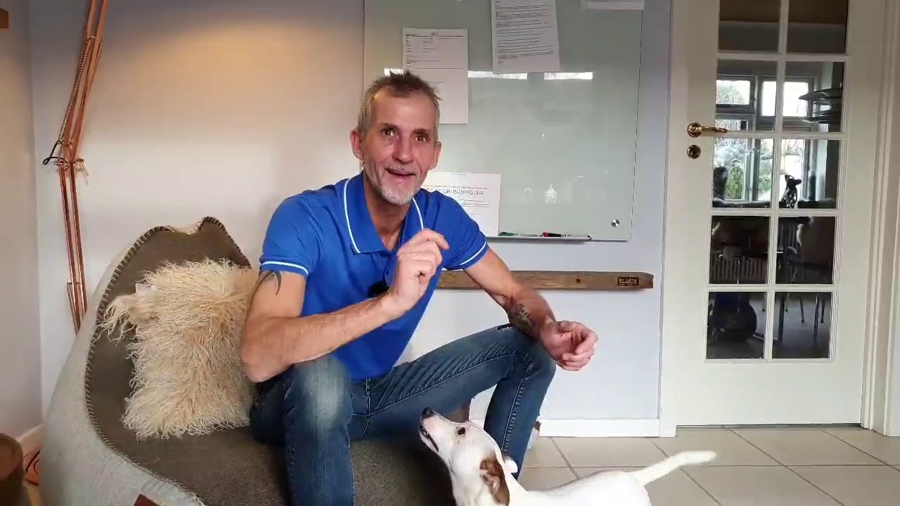 TRÆN 🧻RENLIGHED🧻 MED DIN HUND I onlinehund.dk 🐾