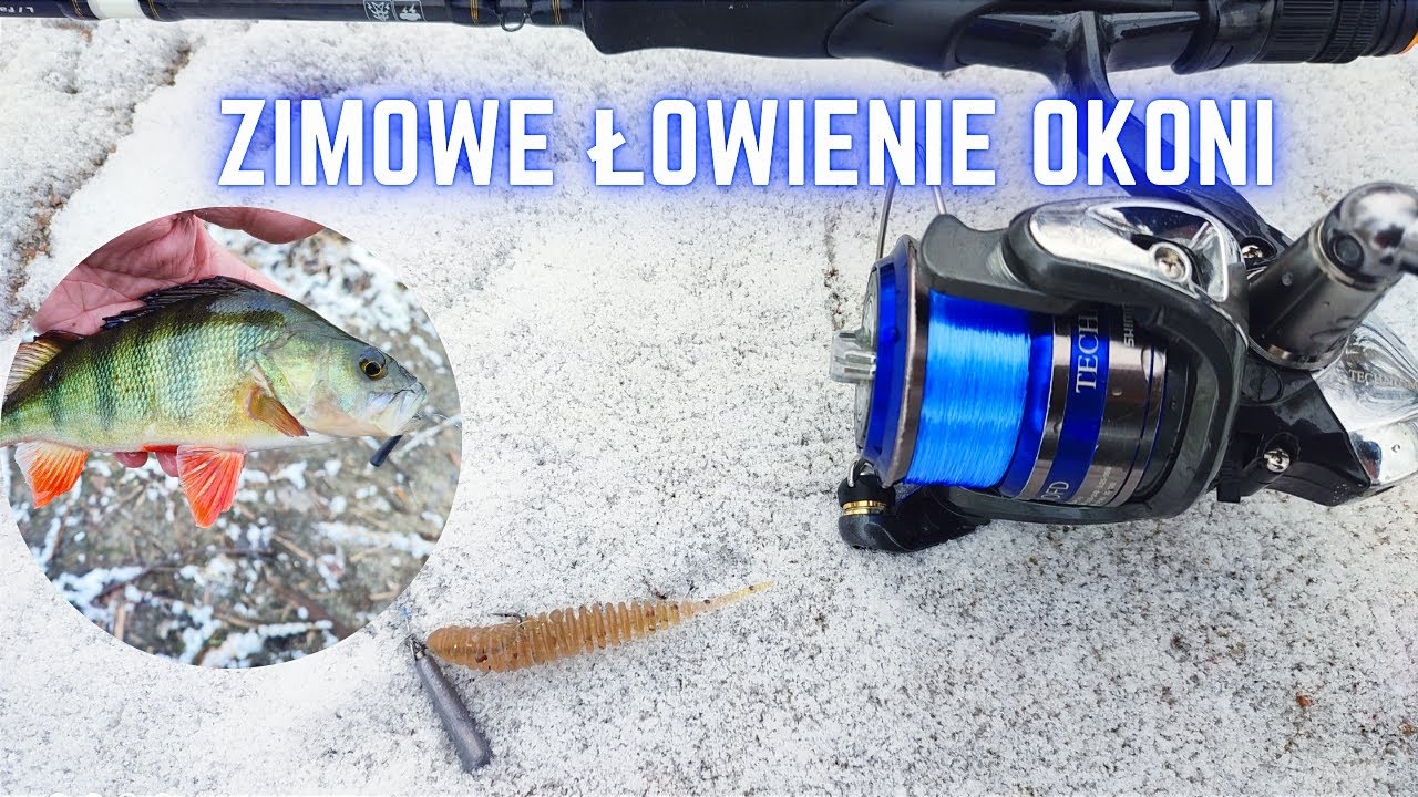 Zimowe łowienie okoni- żyłka+jig rig #spinning #wędkarstwo  #okoń