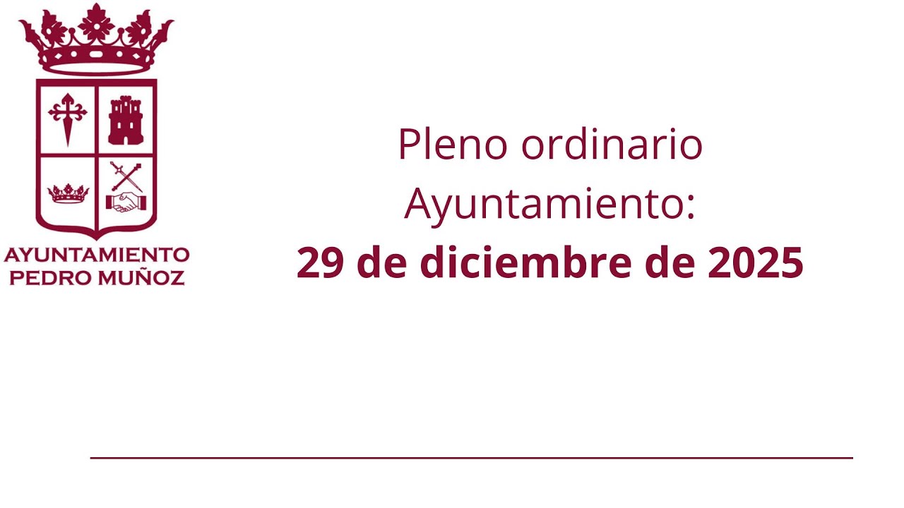 Pleno ordinario 29 de diciembre de 2025