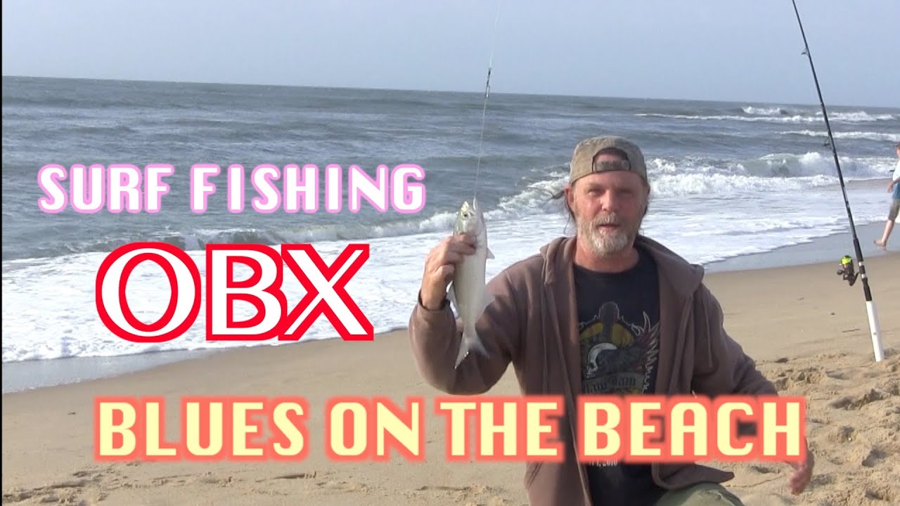 Surf Fishing OBX; Blues on the Beach