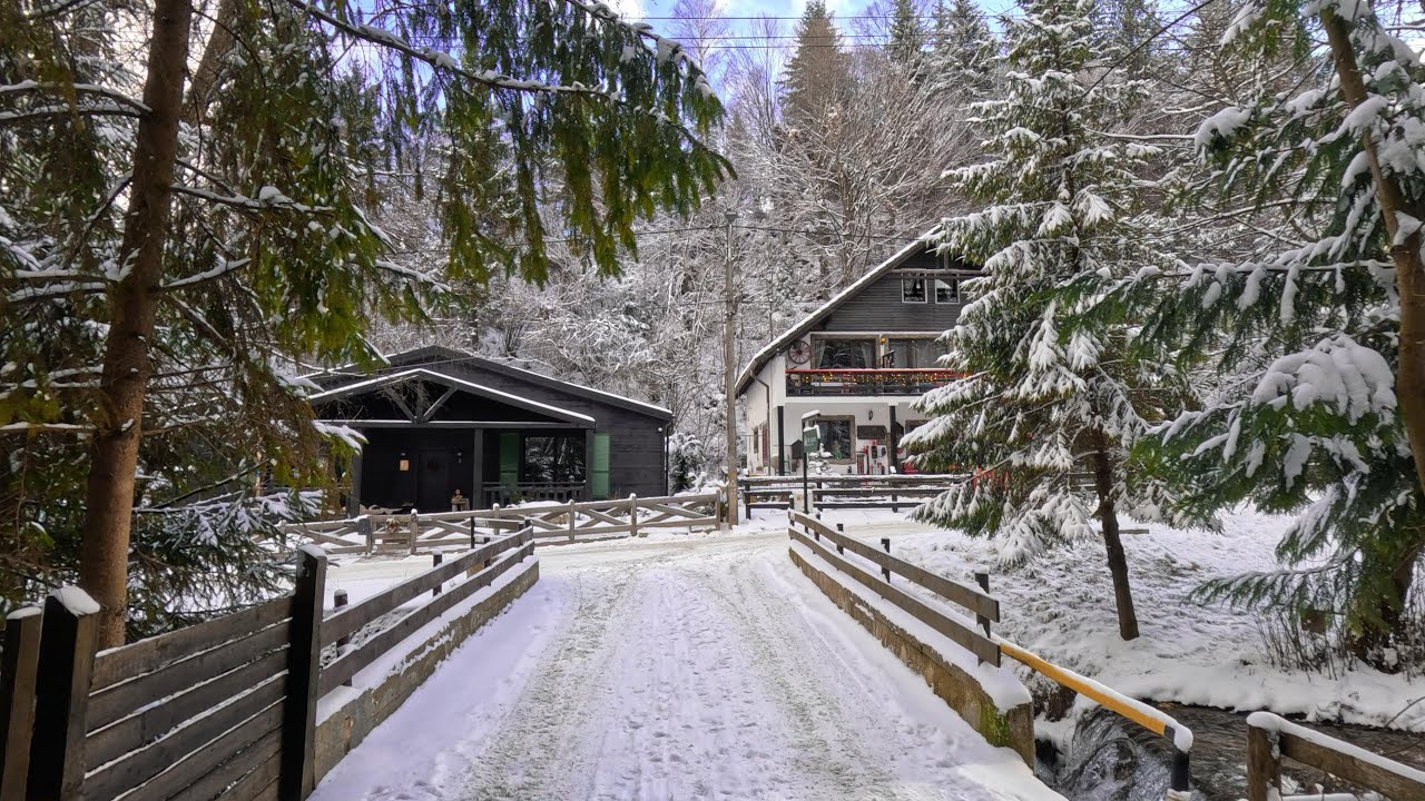 Winter Walk in Bran Village ❄️ 🧛 | Near Dracula’s Castle