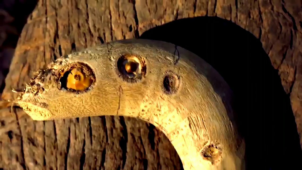 MAKING A MACHETE WITH A LONG BAMBOO HANDLE LIKE SNAKE