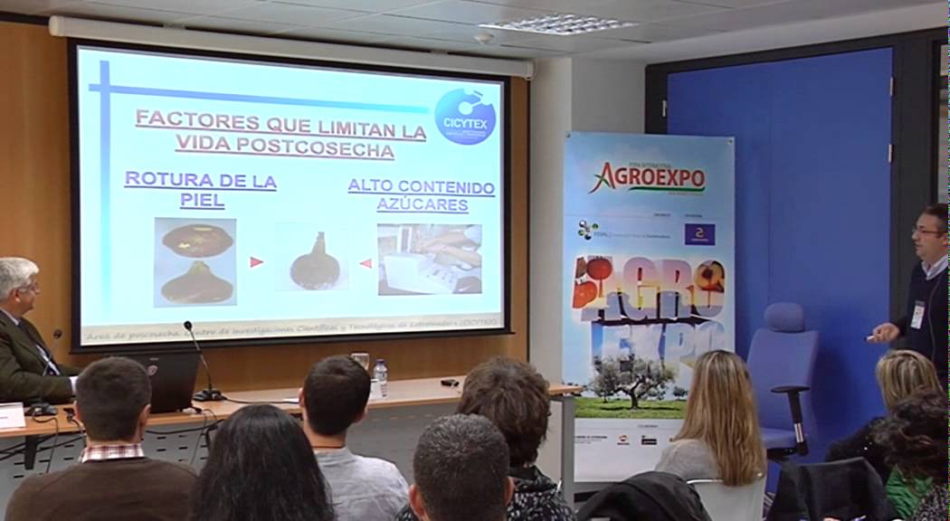 MANEJO Y MANTENIMIENTO DE LA CALIDA DE BREVAS E HIGOS PARA  FRESCO Y SECO