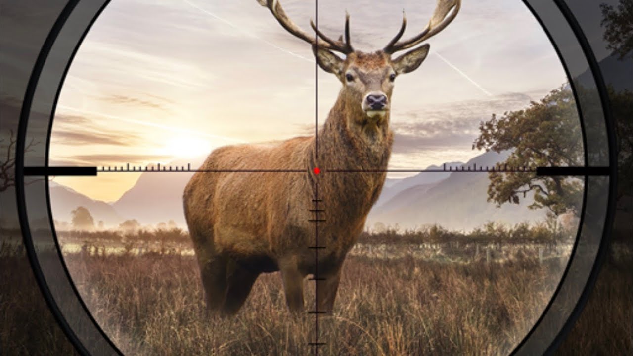 Hunting snipers game 