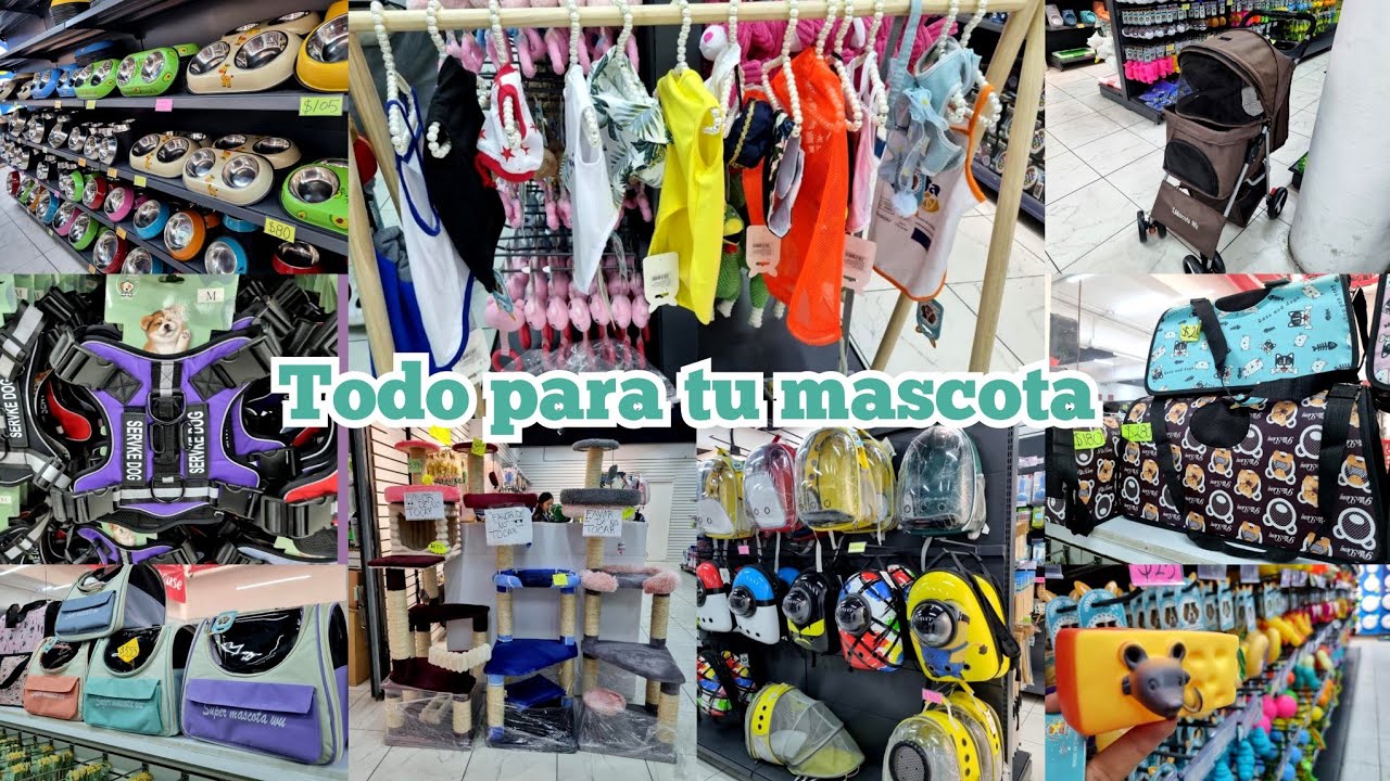 IMPORTA CHINA 😱TIENDA CON PRODUCTOS DE MASCOTA QUE NECESITAS 🙀 
