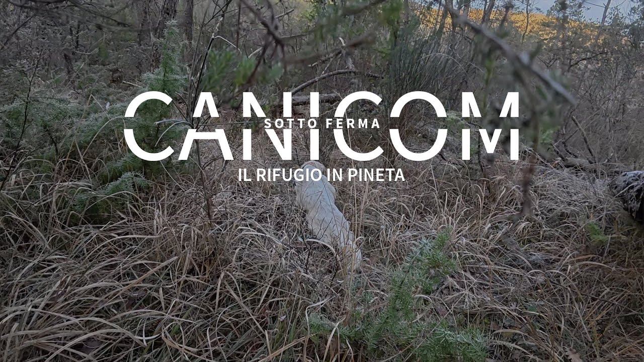 HUNTING WITH CANICOM | Sotto Ferma | Il Rifugio in Pineta