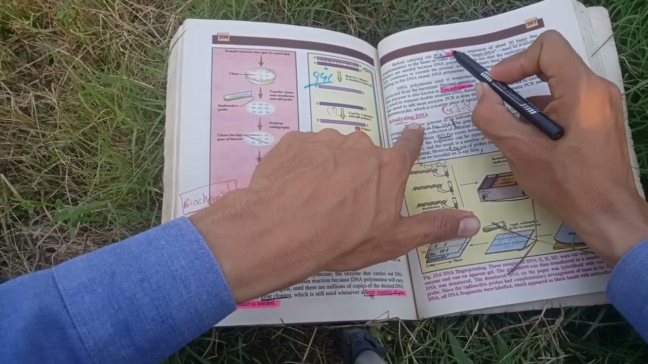 CH 23 Biotechnology imp Short and long Questions class 12 Biology||